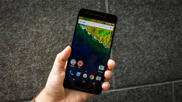 �ȸ迿��ס���������޸�Nexus 6P/5X��������