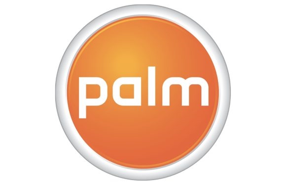 70/80Ļ䣡Palmֻع飺2018