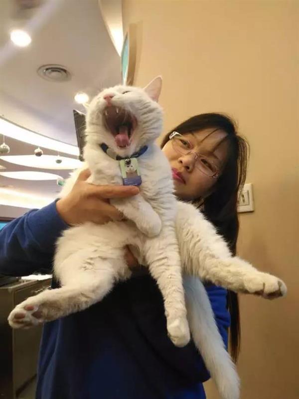 2��ǰһֻ��è�߽���Ѷ ����Ϊ4��Ա��֮һ �������