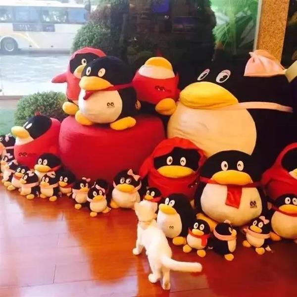 2��ǰһֻ��è�߽���Ѷ ����Ϊ4��Ա��֮һ �������