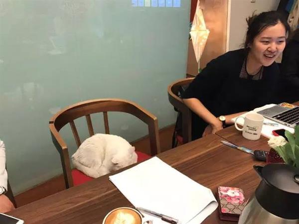 2��ǰһֻ��è�߽���Ѷ ����Ϊ4��Ա��֮һ �������