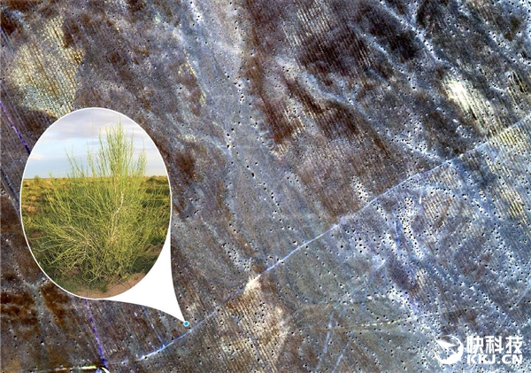 2.3��������1025��ã���������������ɭ�֣�������