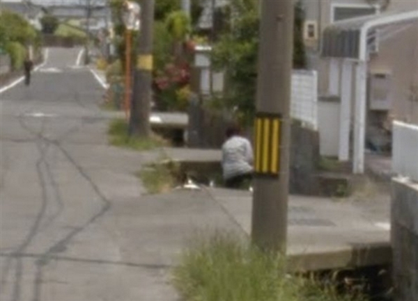 �ȸ�־������ձ��������ˮ������ ſǽ��������