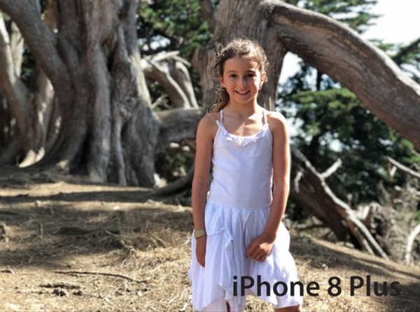 iPhone 8 Plus/����Note 8���նԱȣ�˭����ǿ�����콢��