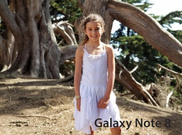 iPhone 8 Plus/����Note 8���նԱȣ�˭����ǿ�����콢��