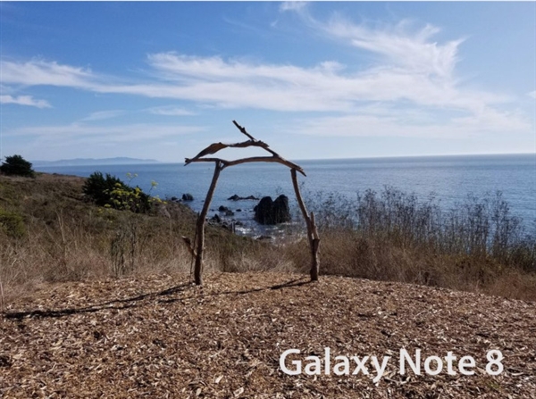 iPhone 8 Plus/����Note 8���նԱȣ�˭����ǿ�����콢��