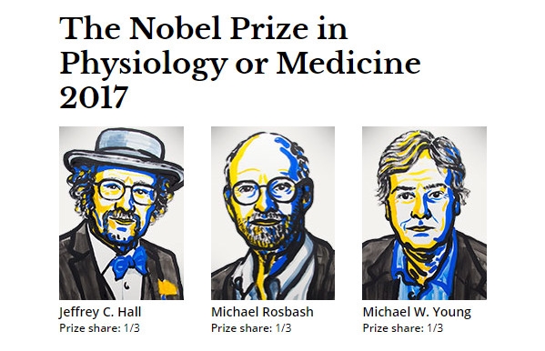 2017���ŵ��������ѧ��ҽѧ����������λ������ѧ�һ�