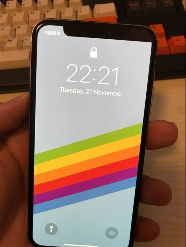 ��һֻ������iPhone X���������ƻ���ۺ󶼿���