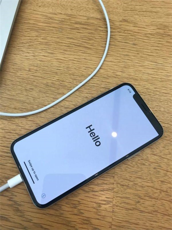 ��һֻ������iPhone X���������ƻ���ۺ󶼿���