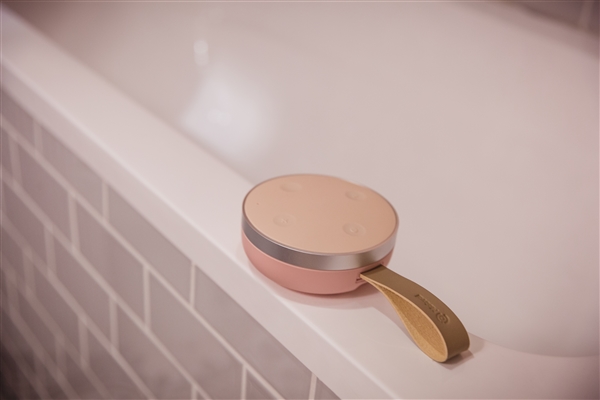 399Ԫ���������ʷ���С������Tichome Mini ����������