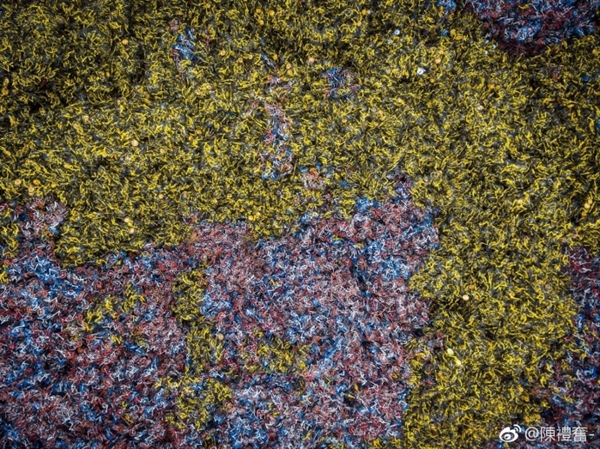 ���ų���׳�ۡ���ɽ����8��������������һ��