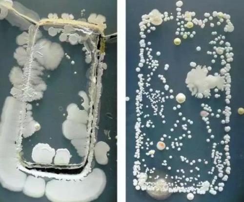 �����ֻ����Ͳ㣺������һƪ���