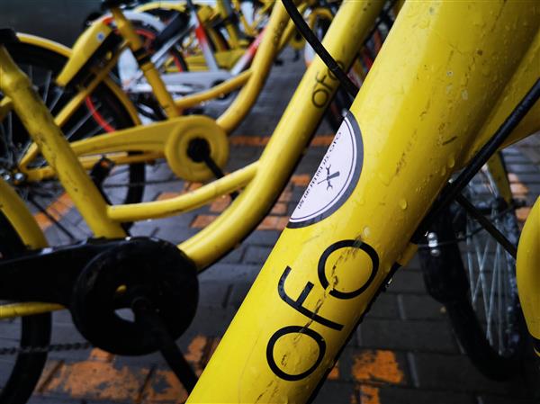 С�Ƴ������