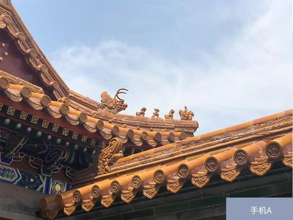 �콢�ֻ���Ű��Ƭ��? ����Ա���������