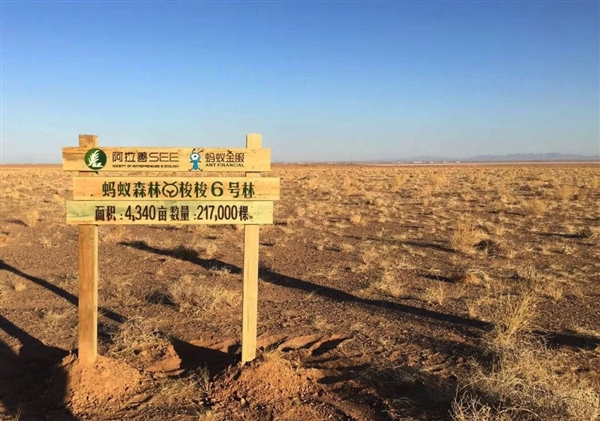 AIܻѷˮ  ɫƼɹϹ