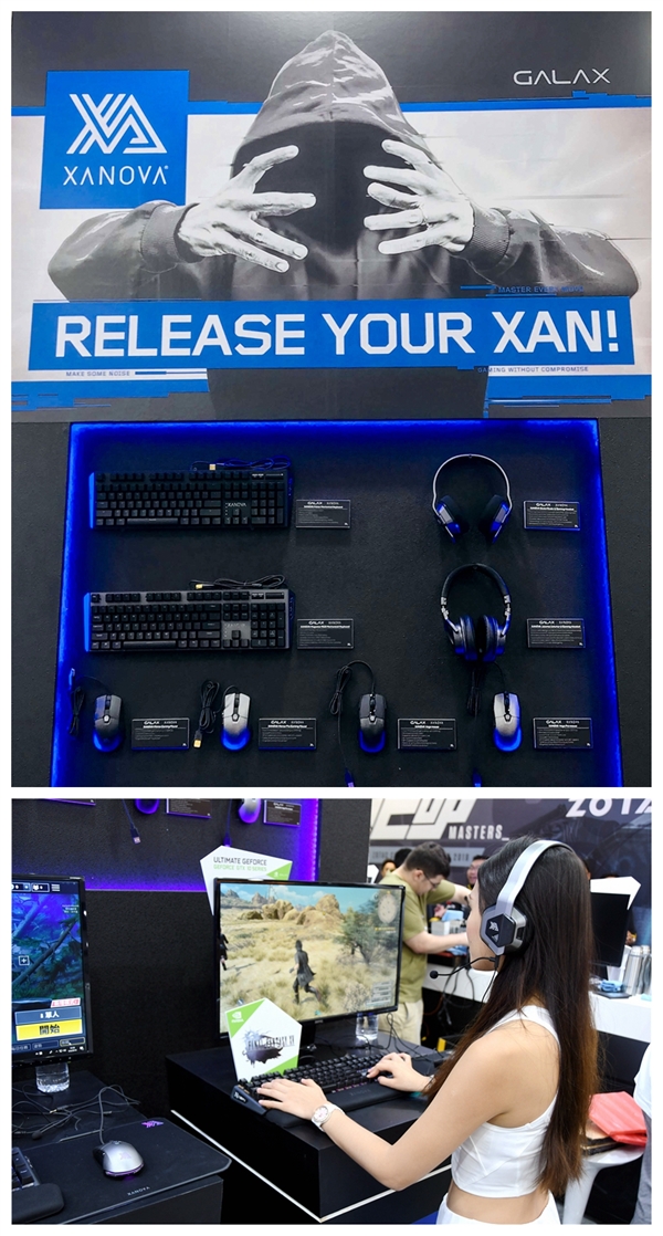 HOF 5GHzڴ棫1TB SSDӰƷ