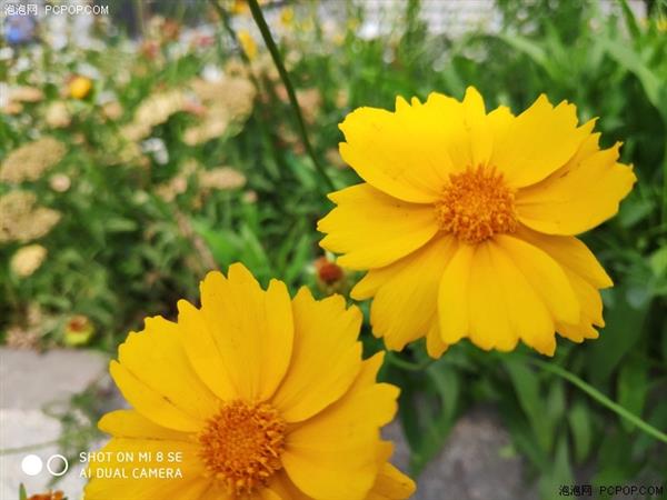 С8 SE֣U710ӳ Լ۱ȳȺ