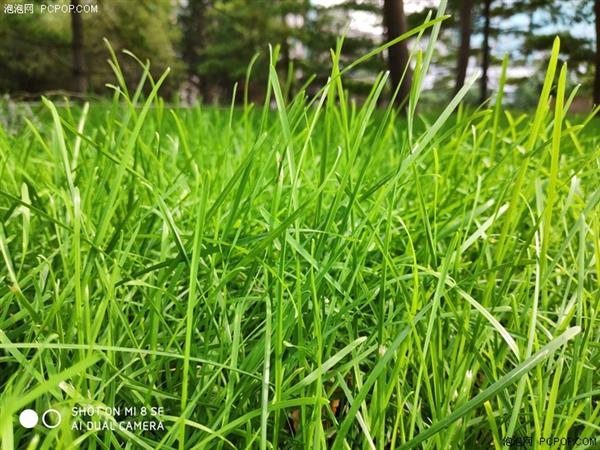 С8 SE֣U710ӳ Լ۱ȳȺ