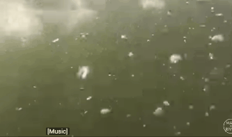 iPhone Xܱ𣺺ɺɹ