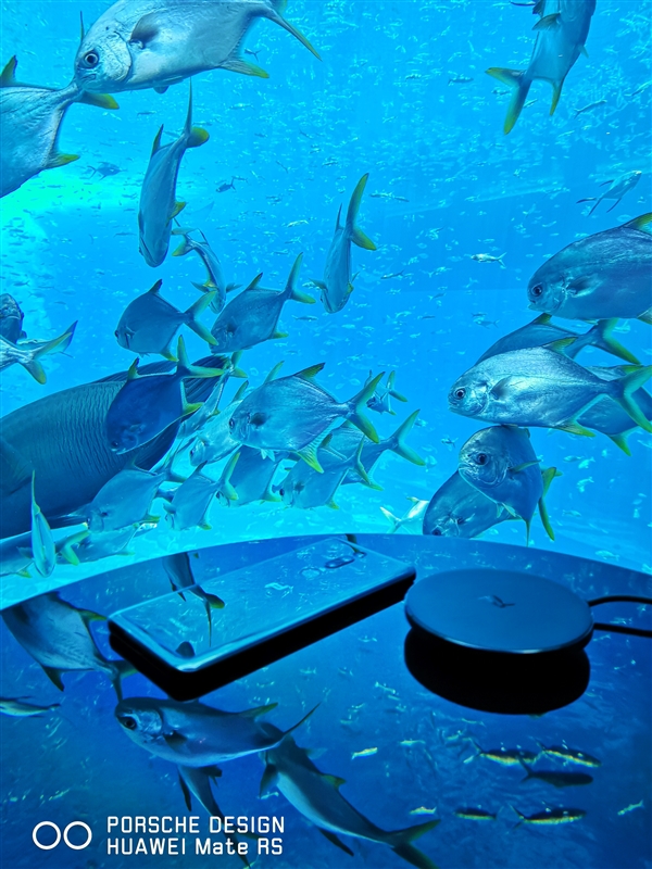 ֻȦݻ磡ΪMateRSʱפǡ˹