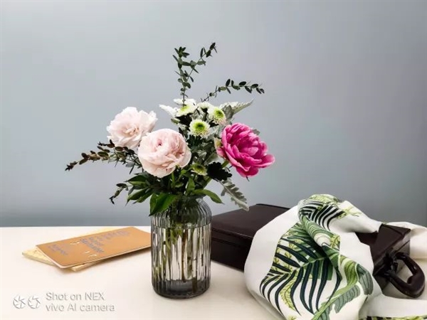 vivo NEX۸񹫲콢4998Ԫ