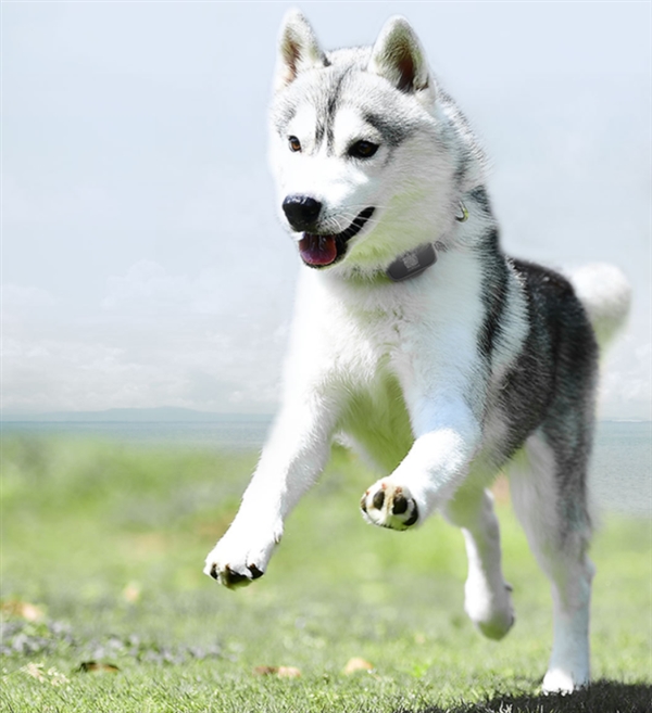 199ԪСڳϼ˳ﹷλ30