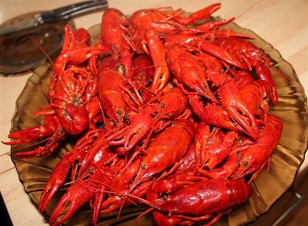 è618СϺָϳɱȫҸ