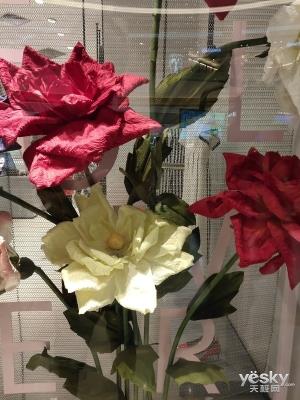 vivo NEX旗舰版上手:全屏AI领先未来至少一年