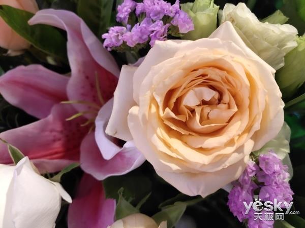 vivo NEX旗舰版上手:全屏AI领先未来至少一年