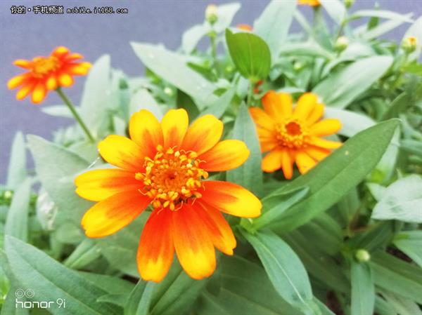 荣耀9i上手:有颜有范的千元实力派