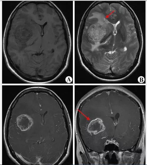 �ֻ���10�����׻������������������������