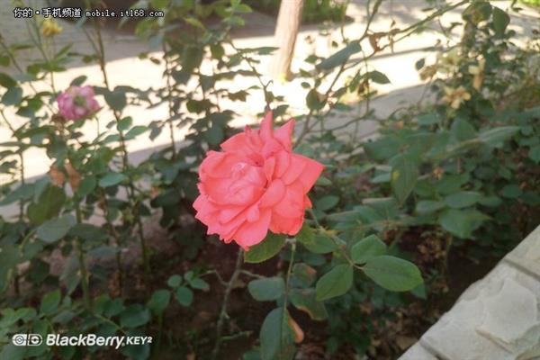 ����ȫ���������¹��� ��ݮKEY2����