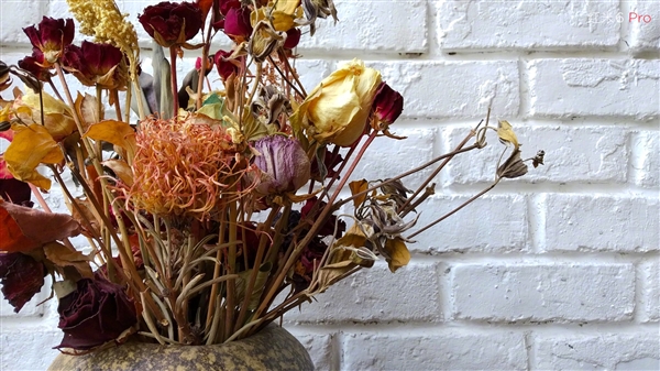 999Ԫ�𣡺���6 Pro��ʽ������С������4000mAh