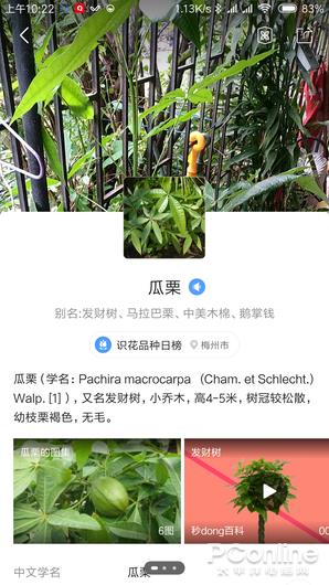 ʶ���Ͼƻ������ⷭ�� QQ�����ɨһɨ����