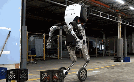 ��������Ĳ�ʿ�ٶ�����������������ܿ������һֻ�ؼ���