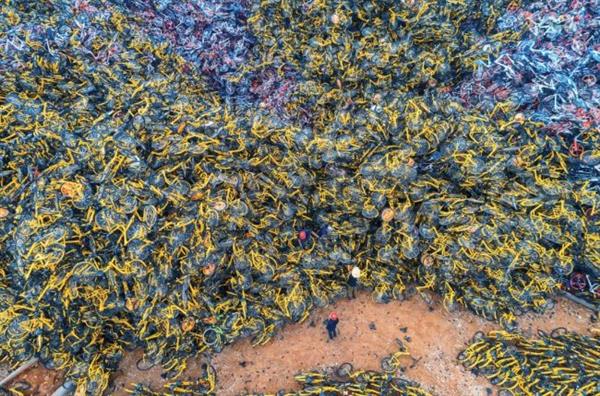 共享单车这三年……唉!