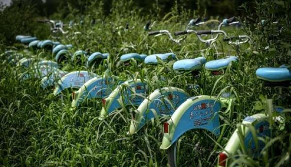 共享单车这三年……唉!