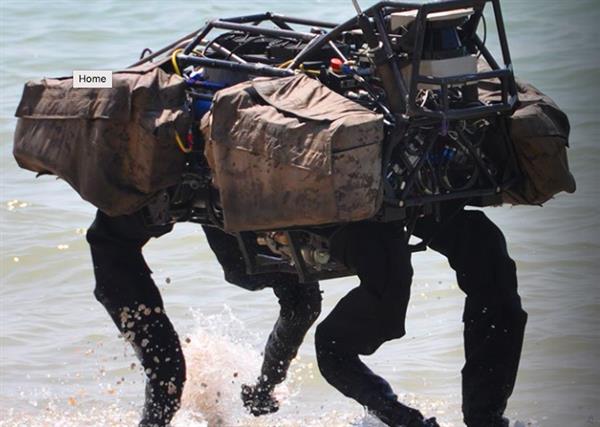 ��������Ĳ�ʿ�ٶ�����������������ܿ������һֻ�ؼ���