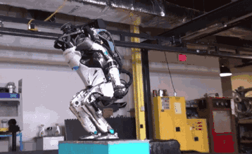 ��������Ĳ�ʿ�ٶ�����������������ܿ������һֻ�ؼ���