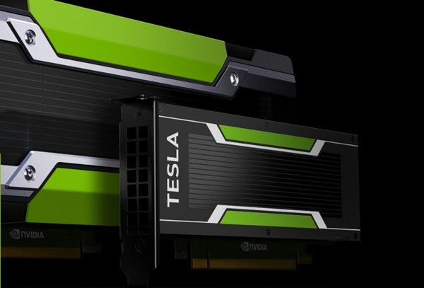 Google������NVIDIA Tesla P4���㿨������3000Ԫ