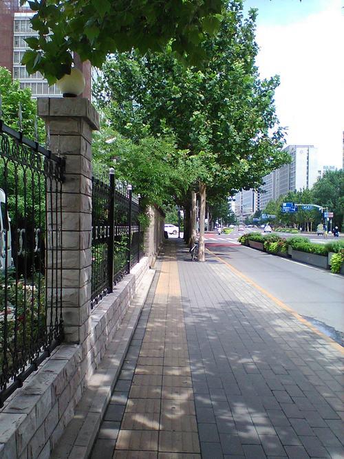 ��۸���ʮ��Ĺ��ܻ� ŵ����8110 4G����