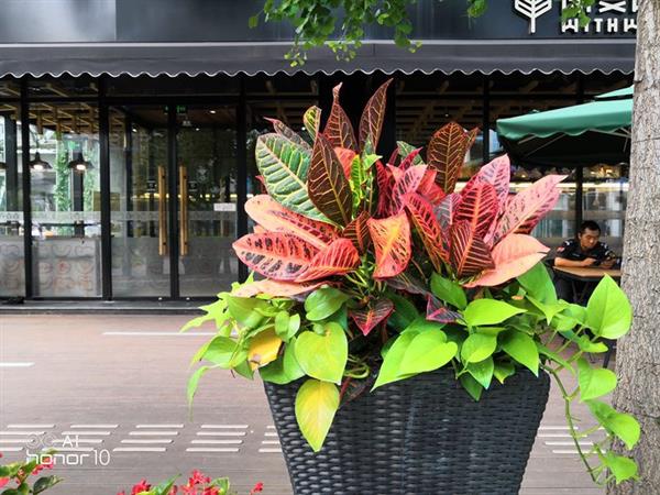 ��ҫ10 GT 8/6GB�Աȣ����ڴ��ܴ������������