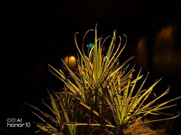 ��ҫ10 GT 8/6GB�Աȣ����ڴ��ܴ������������