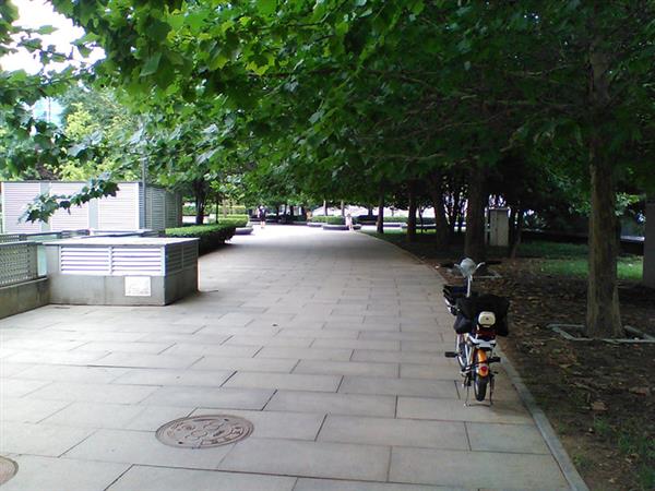 ��۸���ʮ��Ĺ��ܻ� ŵ����8110 4G����