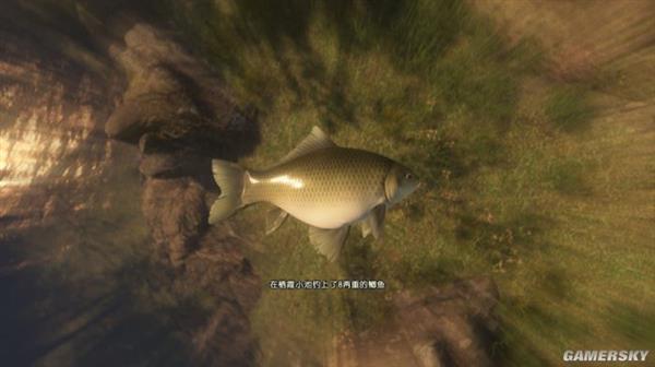 ���Ž���̷3�����汨�棺����Ψ�� ս��Ӳ��