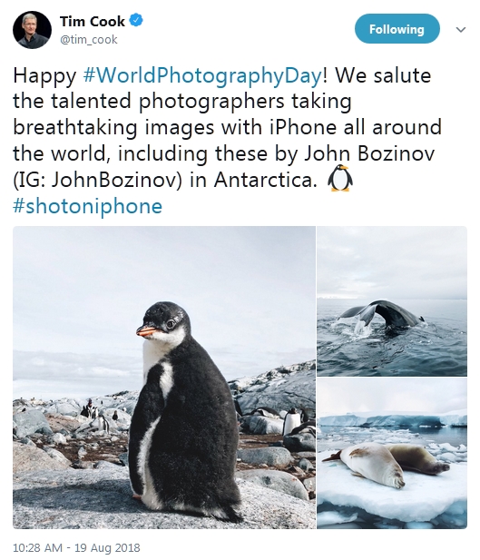 �����ף������Ӱ�գ�iPhone����ϰ���˾��벻����