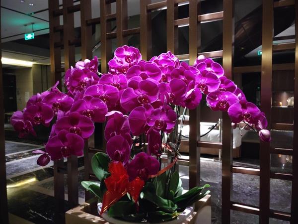 ���Pro 2S���֣���������710 ��Щ��ǿ��֢�