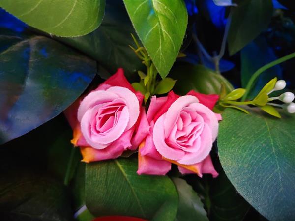 ���Pro 2S���֣�2000Ԫ������ֵ�ý����ѵ��ֻ�