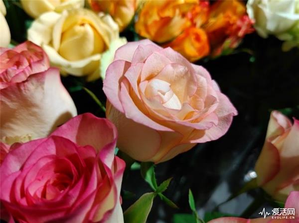 ���Pro 2S���⣺�������ܷ��ȼ�����Ƶ���ʱ����