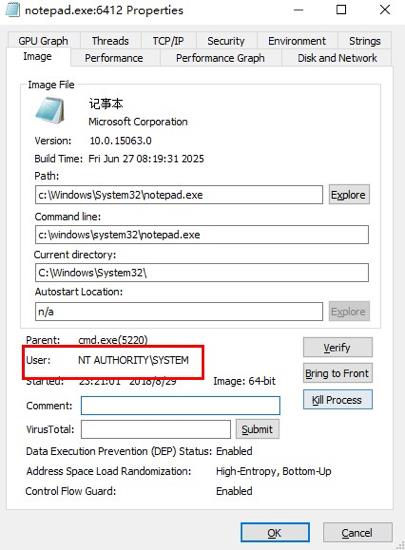 Windows 10����©�����ܺ��ߵ�����Ϊ���⼦��